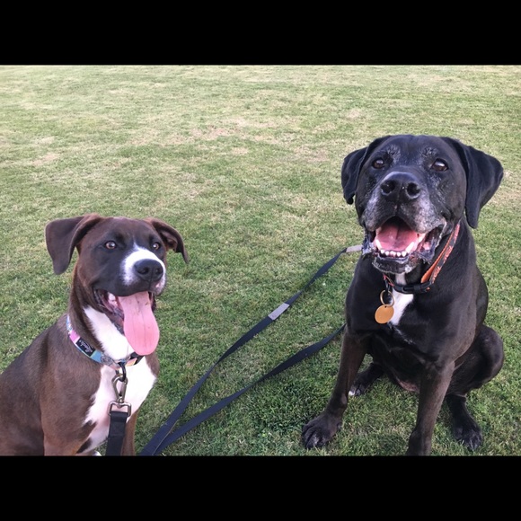 Meet your Posh Ambassador, Elizabeth - Picture 14 of 15